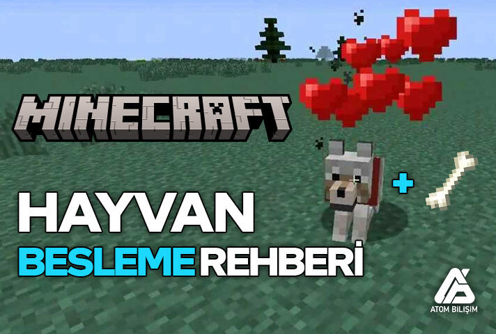 Minecraft: Hangi Hayvan Ne ile Beslenir?
