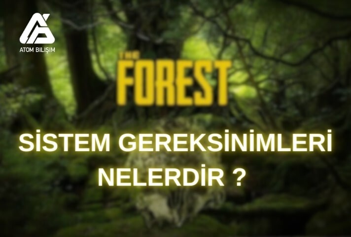 The Forest Sistem Gereksinimleri Nelerdir?