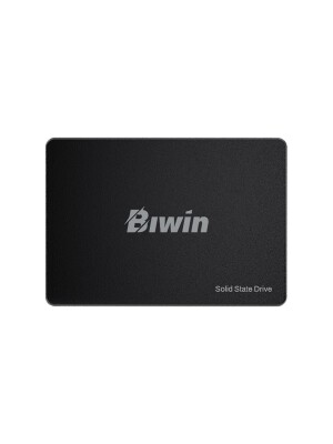 Biwin M100 256GB 2.5
