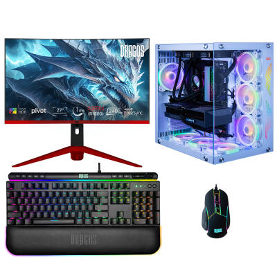 Dragos DRx6172 i7 13700F 32GB Ram 1TB M.2 NVMe SSD 8GB RTX4060Ti 27 İnç 240Hz Curved Monitör Oyun Hazır Sistem - 1