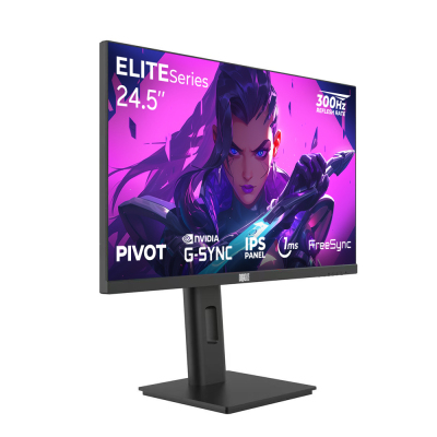 Dragos ELITESeries E245FHD300 1ms FHD 300Hz 1920x1080 24.5" FreeSync G-Sync IPS Pivot Oyuncu Monitörü - 2