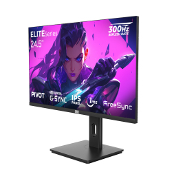 Dragos ELITESeries E245FHD300 1ms FHD 300Hz 1920x1080 24.5" FreeSync G-Sync IPS Pivot Oyuncu Monitörü - 3