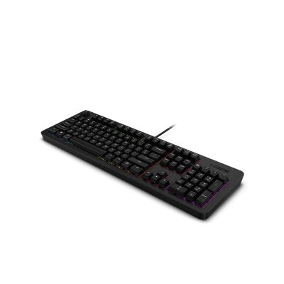Lenovo Legion K310 GY41N91857 RGB Kablolu Oyuncu Klavyesi - 3