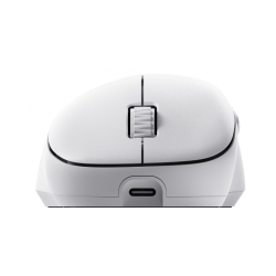 Philips Evnia SPK9418W Beyaz Şarjlı Optik Kablosuz Oyuncu Mouse - Philips (1)