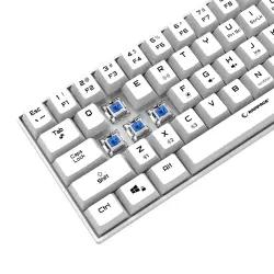 Rampage KB-RX63 B-ATOM Beyaz Bluetooth RGB Backlight Blue Switch Mekanik Q 63 Tuşlu Mini Gaming Oyuncu Klavyesi - Rampage (2)