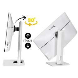 Turbox TAx1605 i5 12400 16GB DDR4 512GB M.2 NVMe 23.8 inç FHD Pivot BTH Webcam WiFi All in One PC - 4