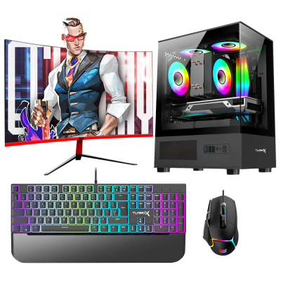 Turbox Tx5990 Ryzen 5 5600 32GB 1TB NVMe 12GB RTX3060 23.6 165Hz Curved Oyun Hazır Sistem - 1