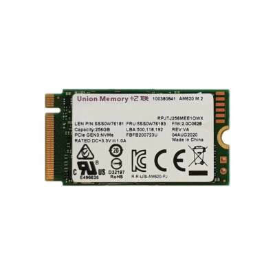 Union Memory AM620 256GB 2242 NVMe M.2 SSD (Kutusuz) - 1